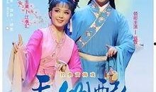 电影天仙配在线观看,穿越时空的浪漫邂逅